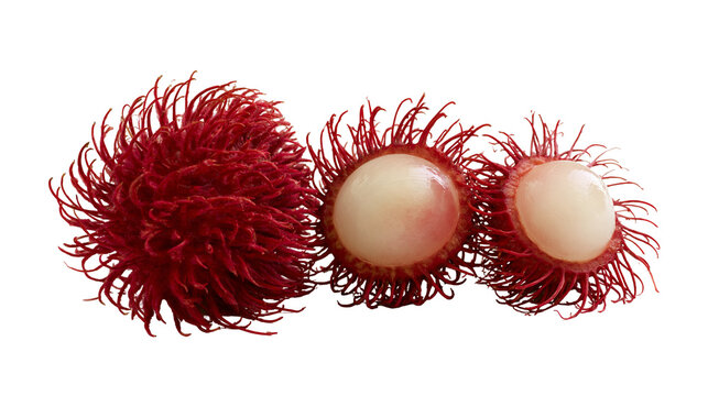 Isolated three tropical rambutan fruits, one whole, two cut, revealing juicy white sweet pulp.