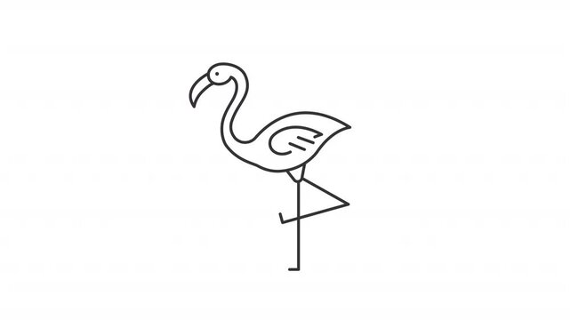 Animated flamingo standing on one leg outline icon. Tropical fauna studying animation. Beautiful pink bird. Wild animal from exotic country. Flat line motion graphic loop on transparent white