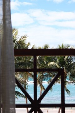 Vista de varanda de hotel com coqueiros altos e c&eacute;u azul com nuvens na Praia do Franc&ecirc;s, Alagoas, Brasil, cen&aacute;rio tropical de hospedagem e viagem no litoral do Nordeste brasileiro