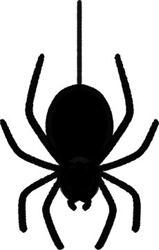 Creepy hand drawn spider hanging on a web string silhouette, halloween vector icon