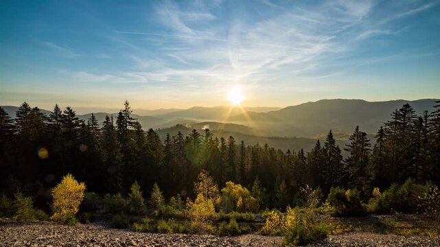 Coniferous forest in highland by hills from day till dusk