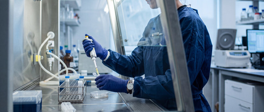 Scientist in protective gown and gloves carefully pipettes samples inside a biosafety cabinet, preparing assays and conducting biomedical and clinical laboratory testing