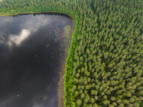 Aerial view of a dark lake bordered by a dense coniferous forest with reflections of clouds on the water surface in Juva, South Savo, Finland.