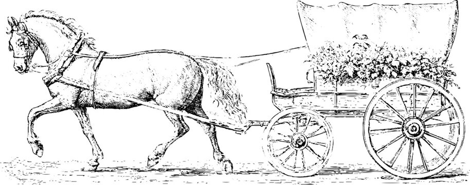 Antique engraving of a horse drawn wagon with flowers isolated on white background for rustic floral background and vintage banner design
