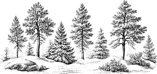 Naklejka premium Antique engraving of a pine forest with snowy hills and rocks for winter landscape background and banner design