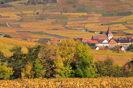 Kientzheim, villages d'Alsace en automne	