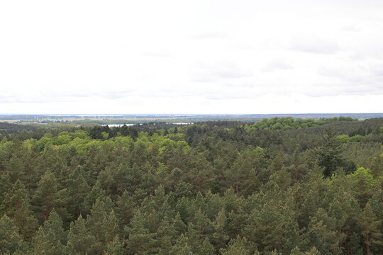 Blick von dem Heringsdorfer Baumwipfelpfad auf die Naturlandschaft der Ostseeinsel Usedom