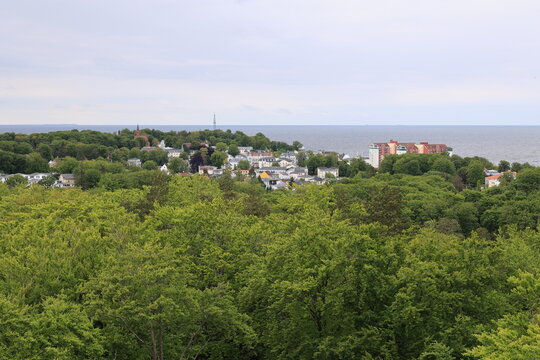 Blick von dem Heringsdorfer Baumwipfelpfad auf die Naturlandschaft der Ostseeinsel Usedom