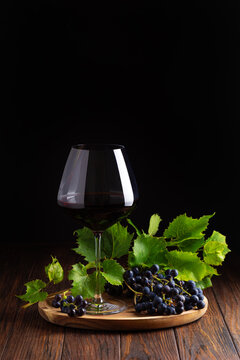 Elegant glass of red wine with fresh dark grapes and green leaves on a rustic wooden surface