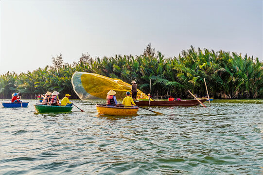A view of traditional round bamboo basket boats navigating the waterways of the Bay Mau coconut forest in Cam Thanh village near Hoi An, Vietnam on a bright sunny day