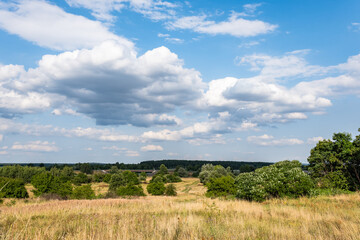 krajobraz szerokiej łąki panorama żółto zielonych terenów w zachodniej Polsce na tle błękitnego nieba i pojedynczych budynków © mbugajsky