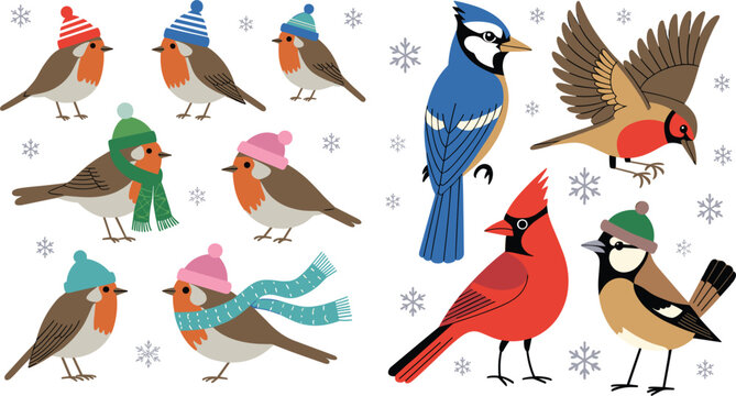 Cute winter birds vector illustration set featuring robins wearing cozy hats and scarves with cardinals and snowflakes