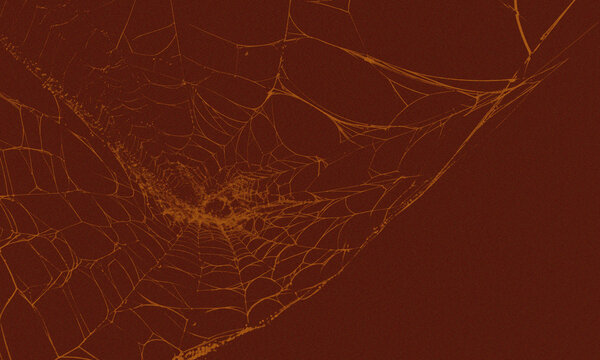 A detailed closeup of a delicate spider web with intricate silk patterns, captured against a deep, dark, and moody reddishbrown background