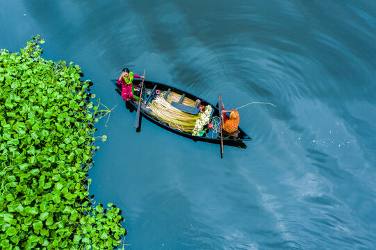 Munshiganj, Bangladesh - 01 August 2021: Aerial view of two women rowing a small wooden boat laden with water plants on a river, with a patch of vibrant green water hyacinths floating nearby.