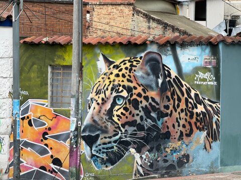 Murales di un Leopardo sui muri di Bogot&agrave;, Colombia 