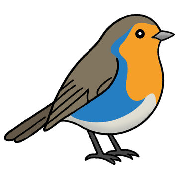 Illustration of a European Robin