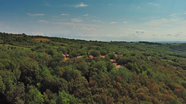 Aerial view of old rustic vintage houses with wine cellars in Rogljevacke pivnice in Negotin region of Serbia, 4k