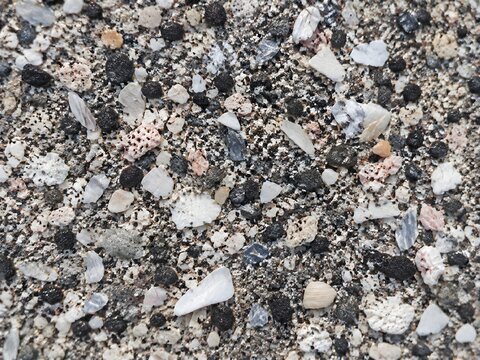 Speckled crust of crushed shell and dark mineral grains bonded into old beach sand with pale shards