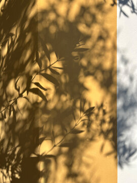 Abstract aesthetic background with natural olive tree leaf shadows cast on a warm golden wall, creating a serene, sunny, and minimalist organic overlay effect.
