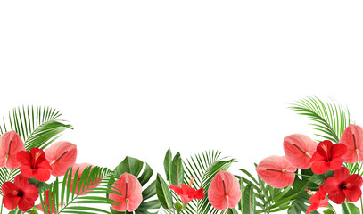 Bright red tropical flowers and green leaves against white background © New Africa
