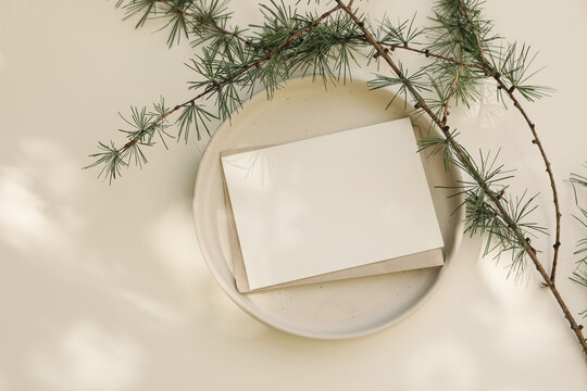 Neutral Christmas stationery mockup with blank horizontal greeting card invitation, ceramic plate. Larch tree branche, white table in sunlight. Neutral Scandinavian holiday background, winter flat lay