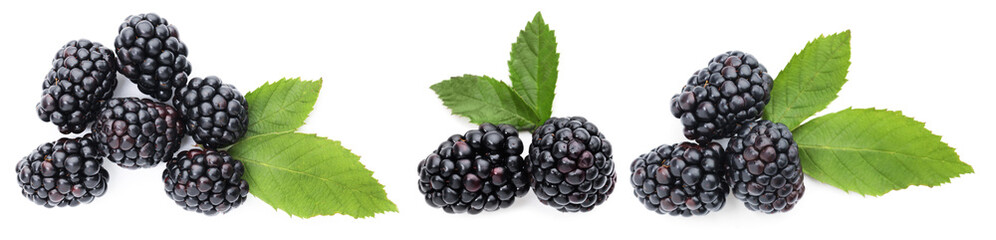 Obraz premium Fresh juicy blackberries and green leaves isolated on white, set