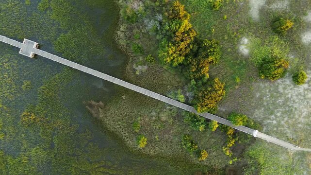 Aerial view of a coastal marsh walkway in Carolina Beach, New Hanover County, North Carolina