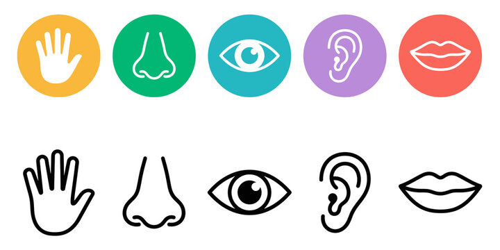 Five senses flat outline icons set colored and black silhouettes on transparent background.