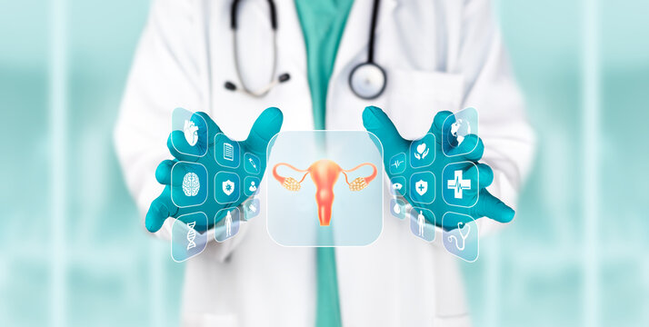 Doctor examining a digital screen to detect uterine abnormalities for infertility diagnosis, laboratory analysis, and science. Medical technology.