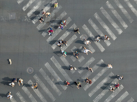 Belgrade, Serbia - 11 September 2026: Aerial view of pedestrian crossings at a busy intersection with people walking across the street and a small dog.