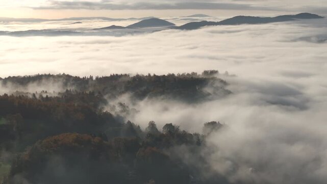 AERIAL: Forested ridges rise from sea of ​​morning mist. Layers of forest and glowing mists are created, interwoven with beautiful sun shafts. Peaceful autumn view of rolling countryside in Dolenjska