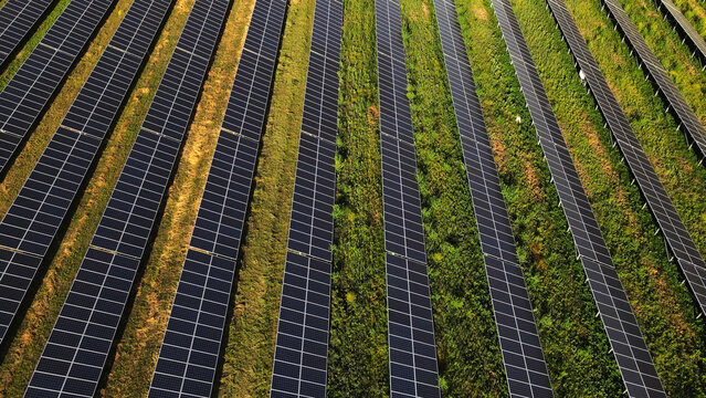 Solar farm generating clean renewable energy from sunlight spreading across an agricultural field aerial view