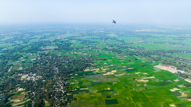 Aerial view of lush green agricultural fields and rural landscape with scattered trees and small village settlements in Manikganj, Dhaka Division, Bangladesh.
