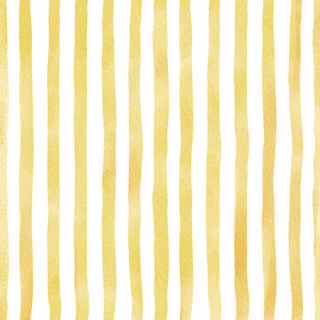 Lineas y Rayas