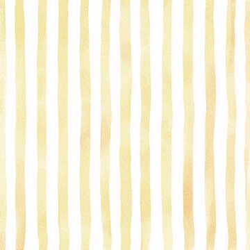 Lineas y Rayas