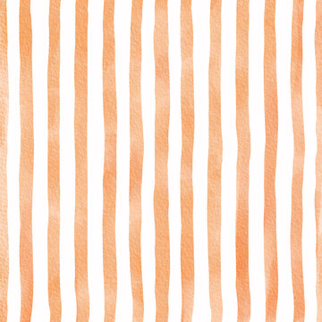 Lineas y Rayas