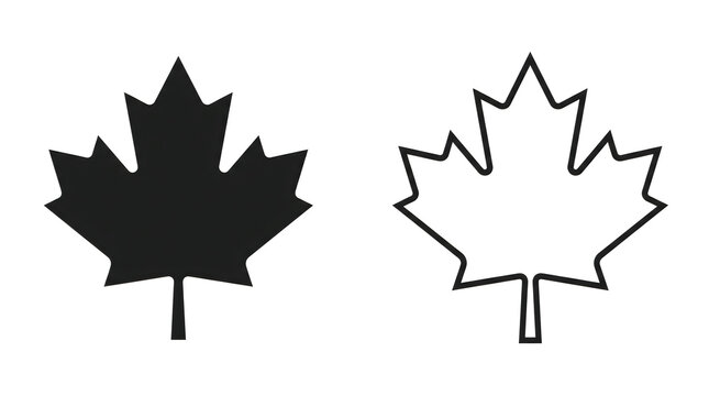 Black and white maple leaf icons set isolated on a white background