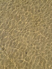 Top down close up background of golden sun caustics and light water ripples on a shallow sandy sea floor in Jurmala. © Irina