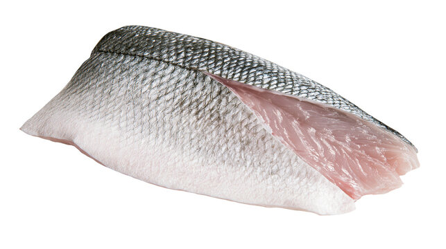 Isolated fresh raw sea bass fillet with skin, ready for healthy cooking and gourmet culinary preparation