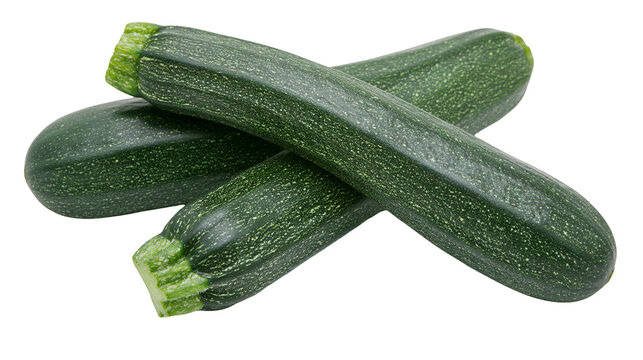 Isolated three fresh green organic zucchinis, healthy raw summer squash vegetable food