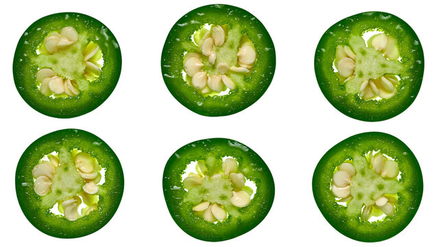 Isolated macro detail of fresh green hot jalape&ntilde;o chili pepper slices with seeds