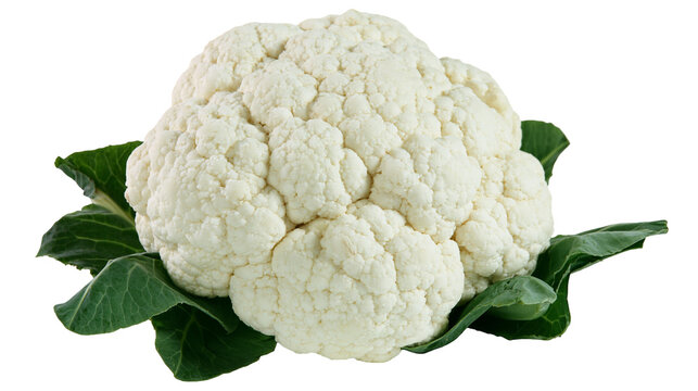 Isolated fresh organic cauliflower head with natural green leaves, healthy raw vegetable produce.