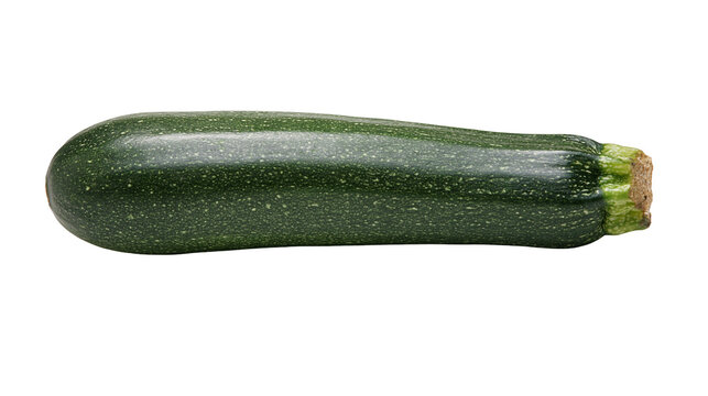 Isolated fresh green zucchini squash with detailed texture, healthy organic vegetable food ingredient