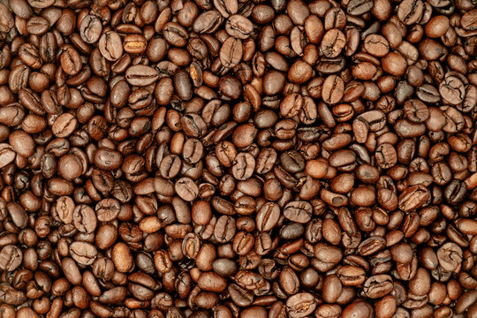 Close-up roasted coffee beans full-frame texture with rich brown tones, glossy oily sheen, detailed creases, and fine crack lines.