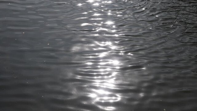 Slow motion sun glistening on dark water surface