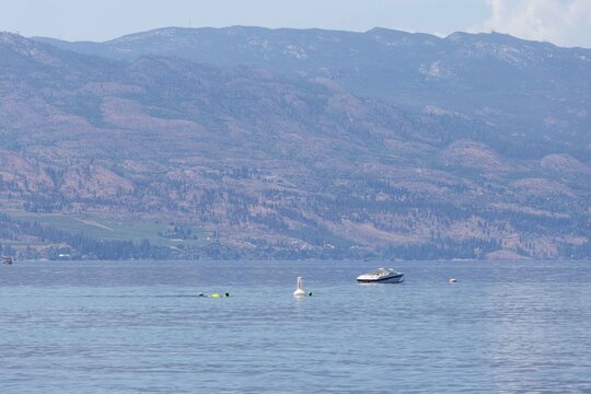 Panoramic Summer View of Okanagan Lake and Valley from the Hillside Above Kelowna, British Columbia, Canada. 