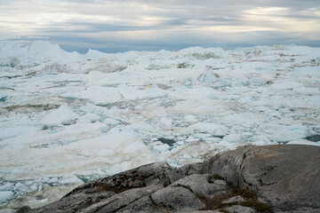 Iceberg in arctic landscape nature with icebergs and ice in Greenland icefjord. Photo of ice and iceberg. Ilulissat Icefjord with icebergs from glacier. © Maridav