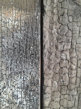 Charred Burnt Wood Texture Close Up with Cracked Surface