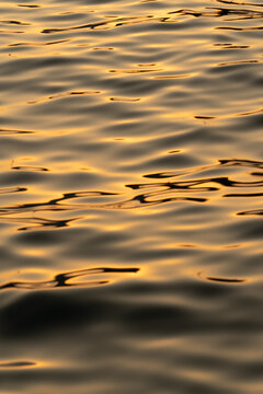 Tivat, Montenegro - 01 August 2025: View of golden sunlight reflecting on the rippling water surface of the Adriatic Sea in Tivat.