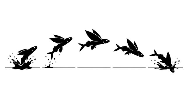 Flying fish jumping and gliding movement sequence silhouette.